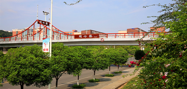 四川中醫(yī)藥高等?？茖W(xué)校 - 最美大學(xué)