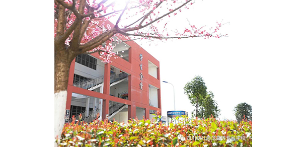 我的大學-大學志
