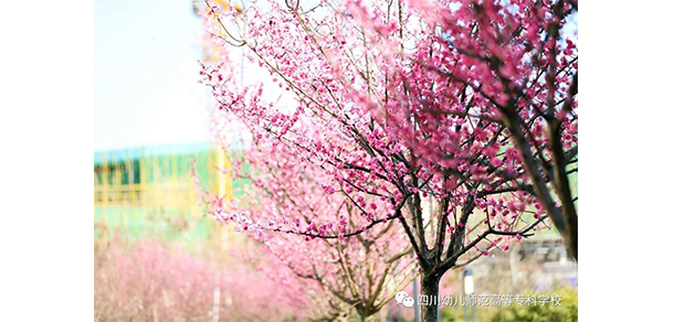 我的大學-大學志