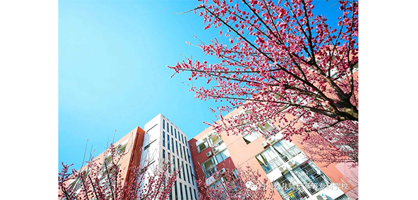 我的大學-大學志