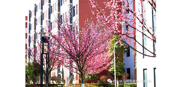 我的大學-大學志