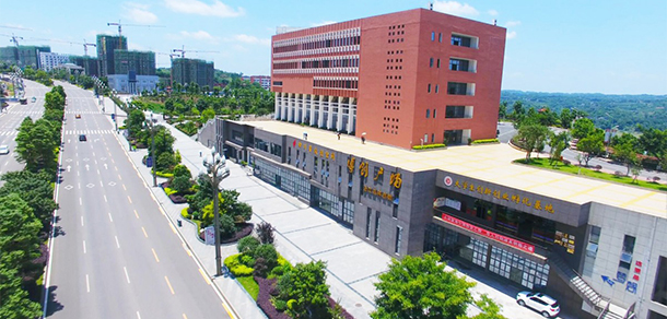 我的大學(xué)-大學(xué)志