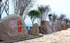 歷史沿革（概）校史