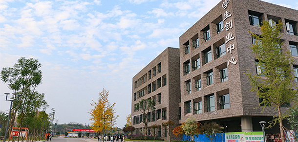 我的大學-大學志