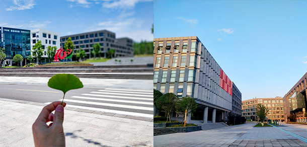 我的大學-大學志