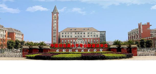 大學(xué)校志：校名、校標(biāo)、校訓(xùn)、?；?、校旗、校歌