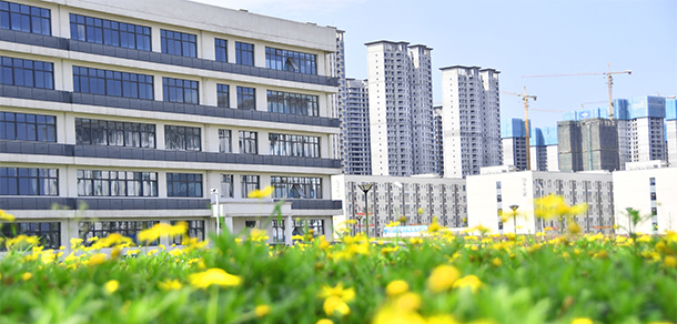 我的大學(xué)-大學(xué)志