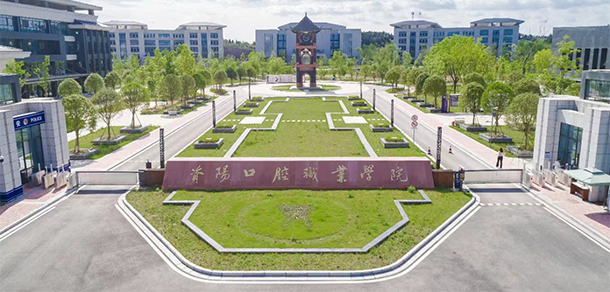 大學校志：校名、校標、校訓、?；?、校旗、校歌