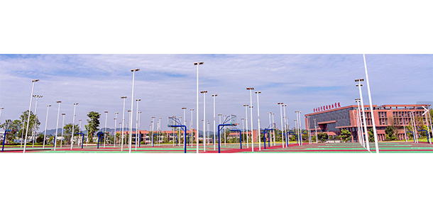 我的大學(xué)-大學(xué)志