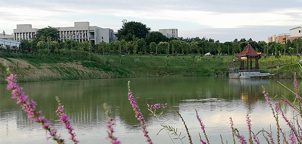 我的大學(xué)-大學(xué)志