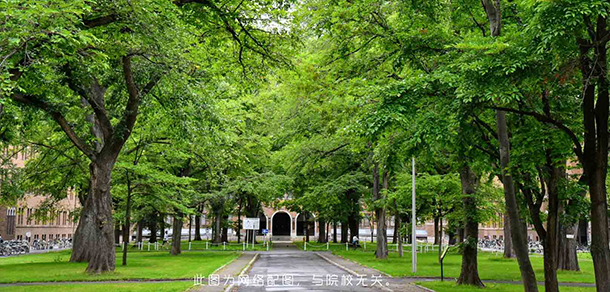 大學校志：校名、校標、校訓、?；?、校旗、校歌