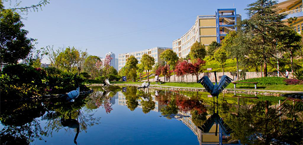 我的大學-大學志
