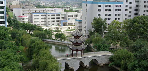 我的大學(xué)-大學(xué)志