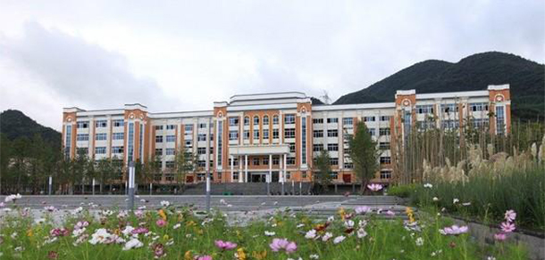 我的大學-大學志