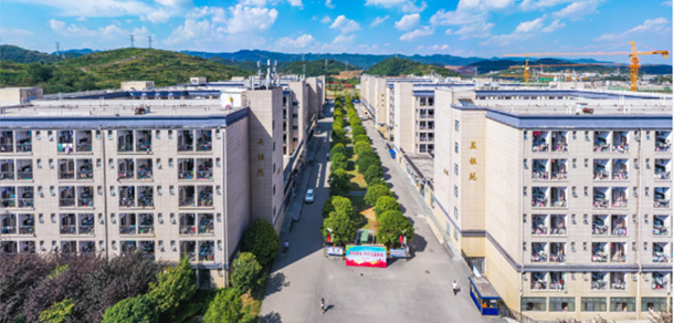 我的大學(xué)-大學(xué)志