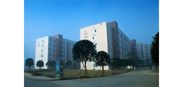 我的大學-大學志