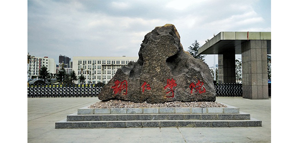 我的大學-大學志