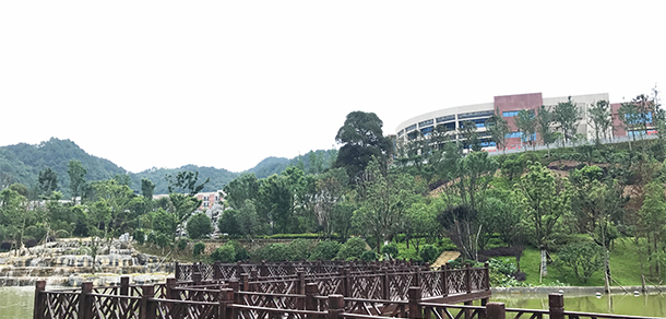 我的大學(xué)-大學(xué)志
