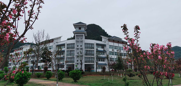 我的大學(xué)-大學(xué)志