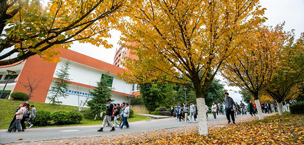 我的大學-大學志