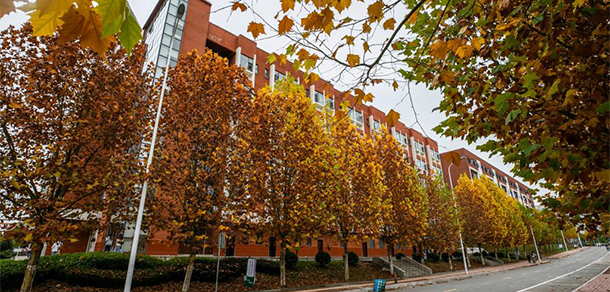 我的大學-大學志