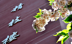 歷史沿革（概）校史