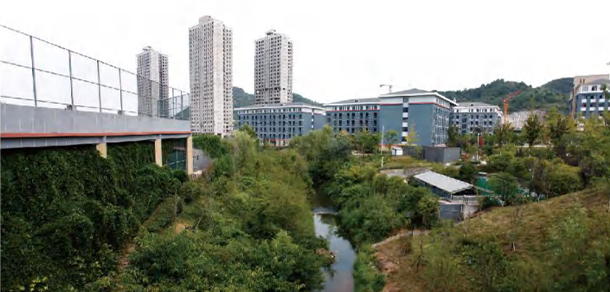 我的大學-大學志