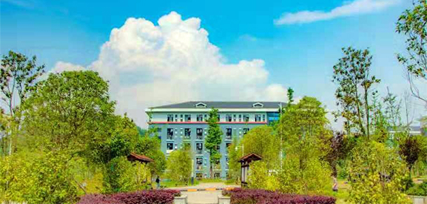 我的大學-大學志