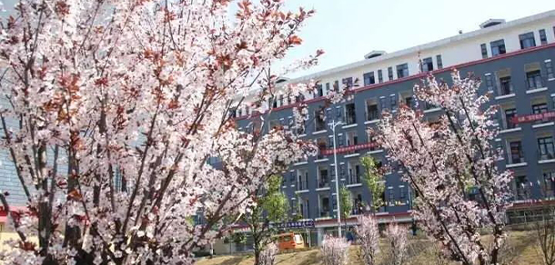 我的大學-大學志