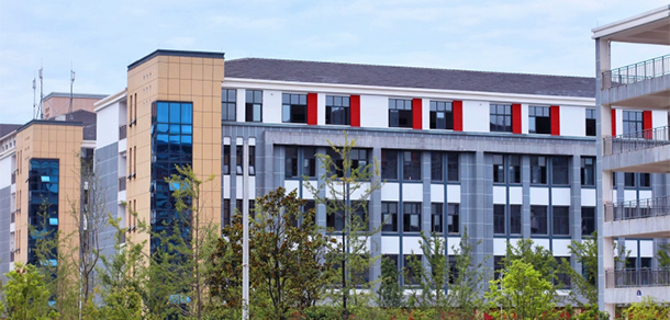 我的大學-大學志