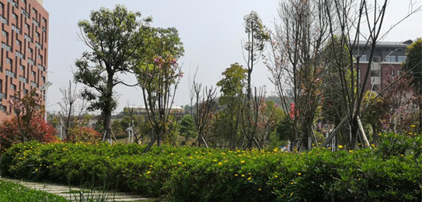 貴州電子商務(wù)職業(yè)技術(shù)學院 - 最美大學