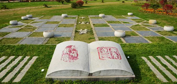 我的大學(xué)-大學(xué)志