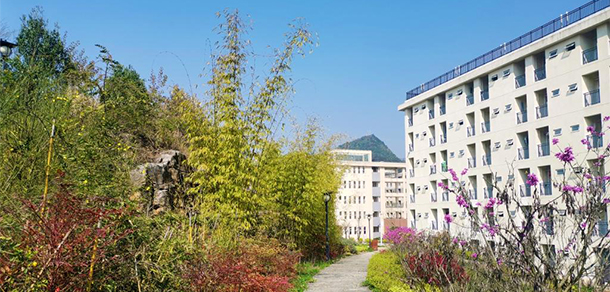 我的大學(xué)-大學(xué)志