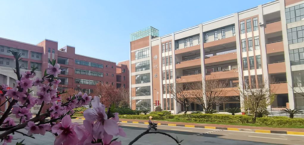 我的大學(xué)-大學(xué)志