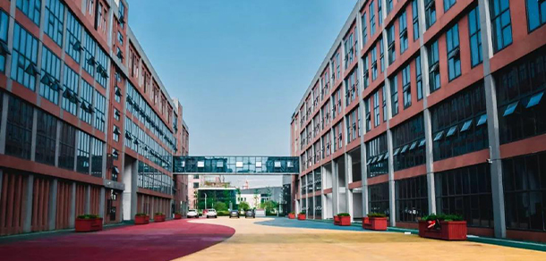 我的大學(xué)-大學(xué)志