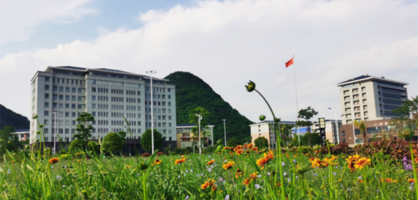 我的大學(xué)-大學(xué)志