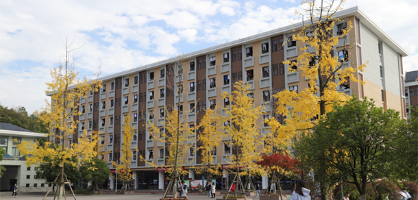 我的大學(xué)-大學(xué)志
