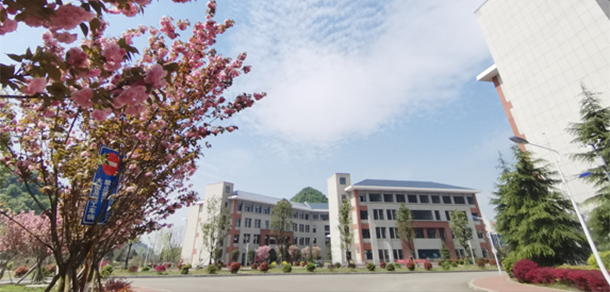 我的大學(xué)-大學(xué)志