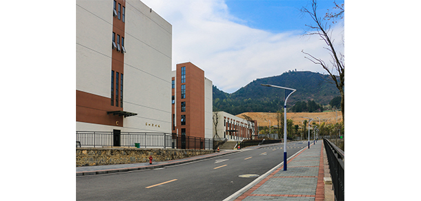 我的大學(xué)-大學(xué)志