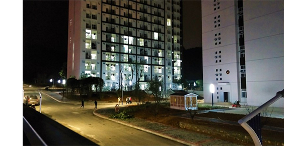 我的大學(xué)-大學(xué)志