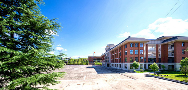 我的大學(xué)-大學(xué)志