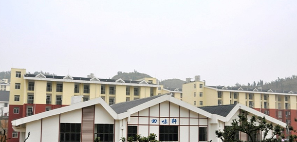 我的大學-大學志