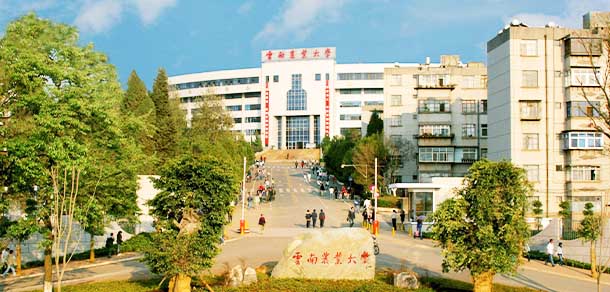 云南農業(yè)大學