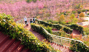 云南國(guó)土資源職業(yè)學(xué)院