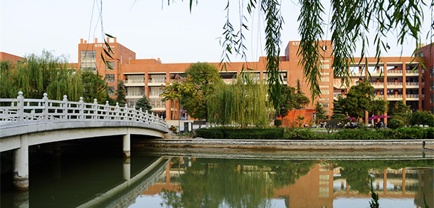我的大學(xué)-大學(xué)志