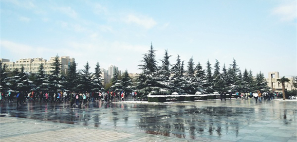 我的大學(xué)-大學(xué)志
