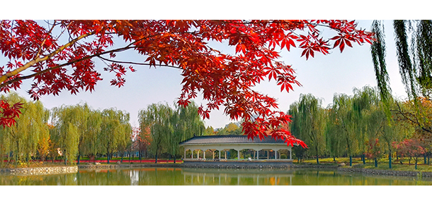寶雞文理學(xué)院
