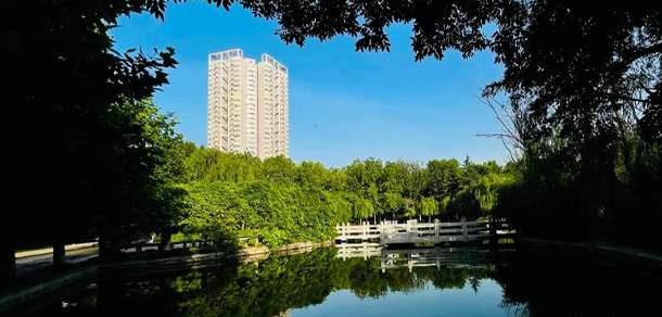 我的大學(xué)-大學(xué)志