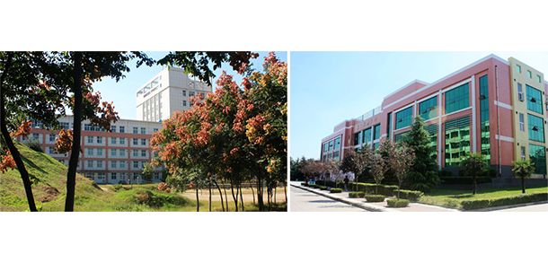 我的大學-大學志
