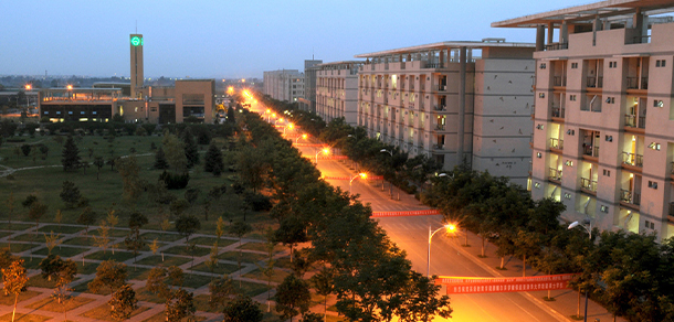 我的大學(xué)-大學(xué)志
